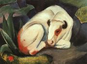 Franz Marc The Bull china oil painting reproduction